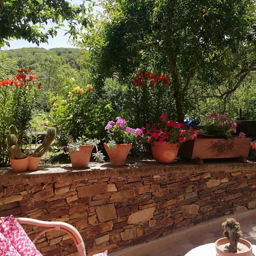 Agrifoglio B&B Con Giardino Aritzo Exterior foto