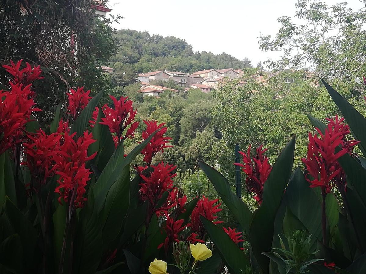 Agrifoglio B&B Con Giardino Aritzo Exterior foto
