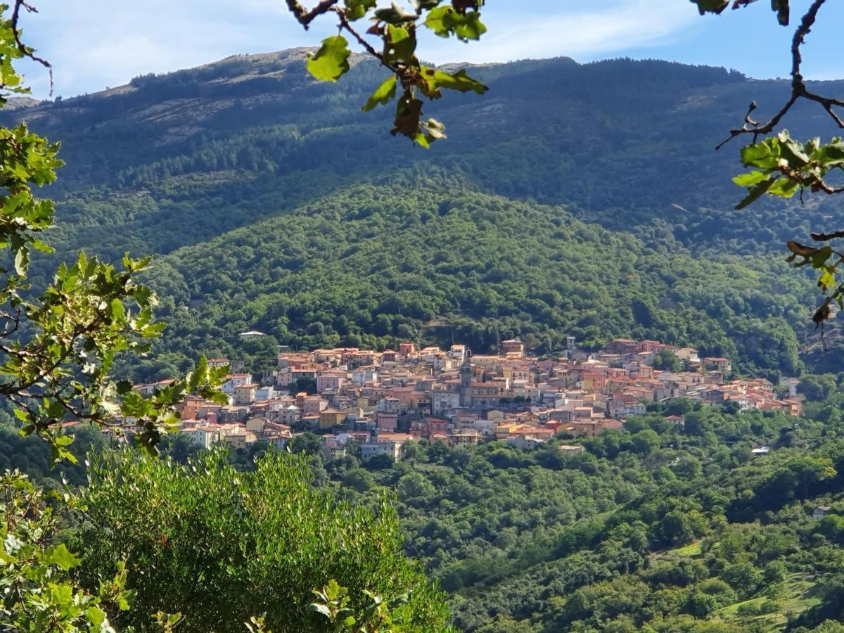 Agrifoglio B&B Con Giardino Aritzo Exterior foto